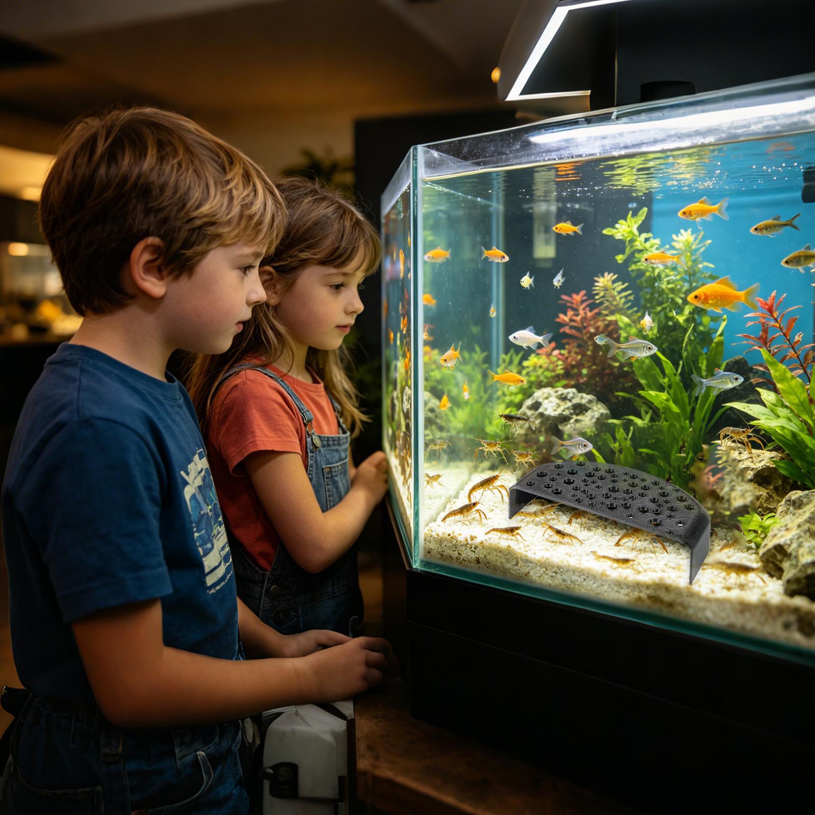 Aquatic Pet Rest Ornament Mult - Aquatic Zone review and price